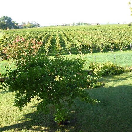 Le Clos Des Rosiers Saint-Emilion Ngoại thất bức ảnh