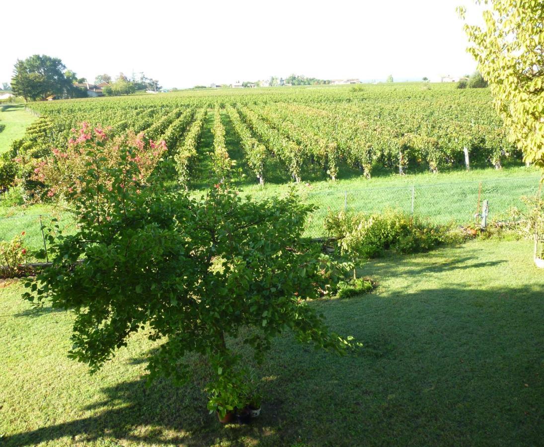 Le Clos Des Rosiers Saint-Emilion Ngoại thất bức ảnh