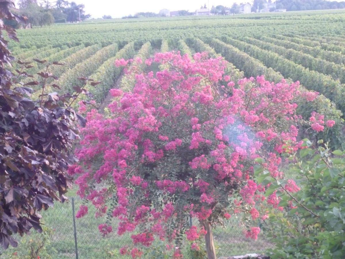 Le Clos Des Rosiers Saint-Emilion Ngoại thất bức ảnh